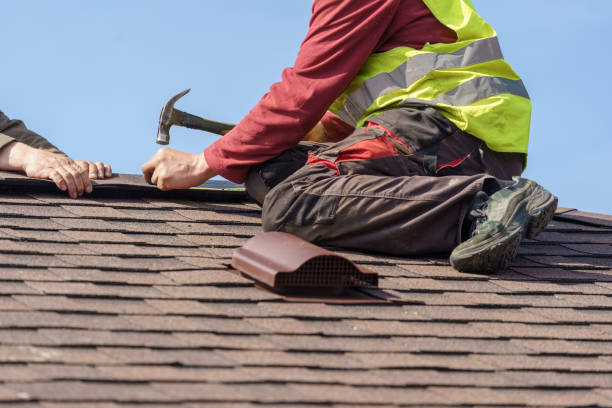 Best Roof Leak Repair  in Blackville, SC