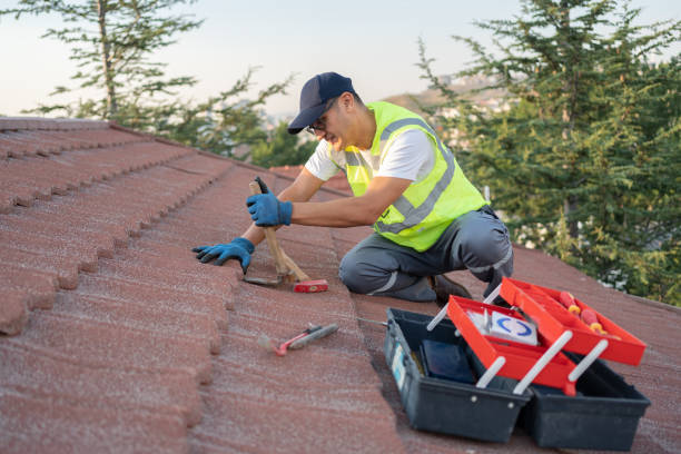 Best Roof Leak Repair  in Blackville, SC