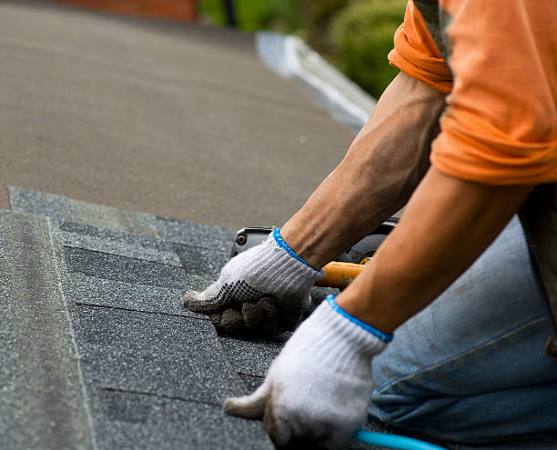 Best Residential Roofing Contractor  in Blackville, SC